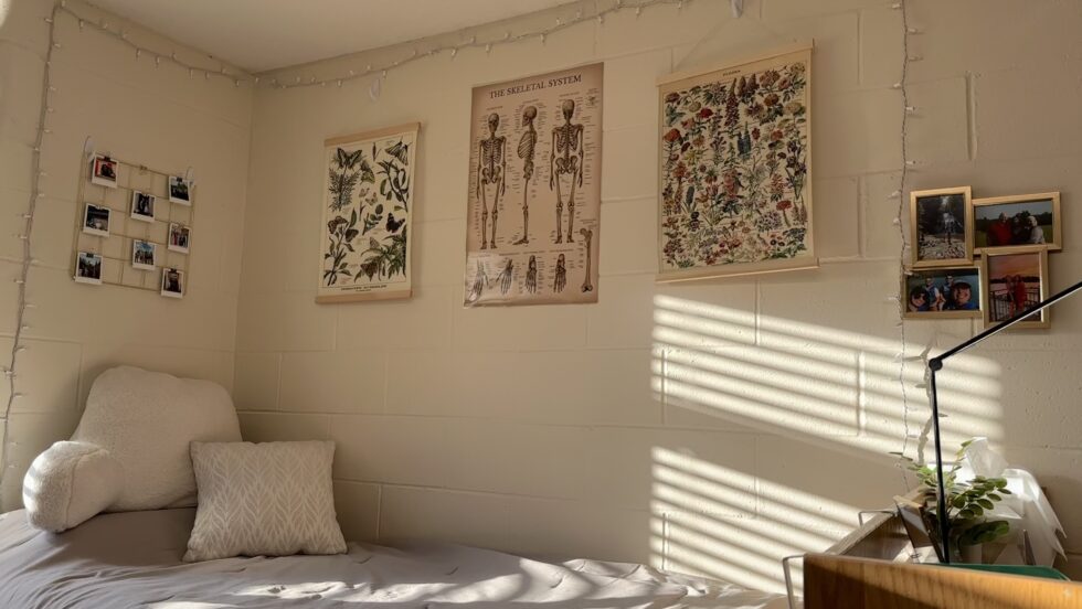 Residence Halls Le Moyne College