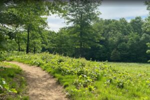Wilton Wildlife Preserve